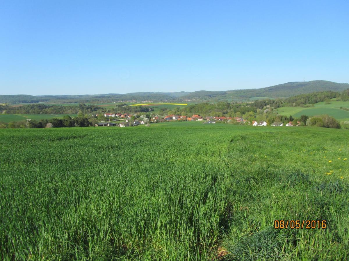 Ferienwohnung Fackiner Gemunden an der Wohra Экстерьер фото
