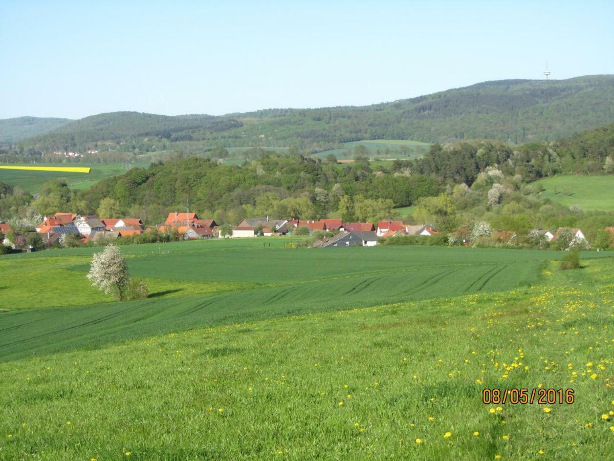 Ferienwohnung Fackiner Gemunden an der Wohra Экстерьер фото